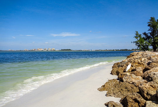 siesta key beach