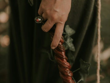 杖の材木偽装事件について、マーリン評議会が警鐘を鳴らす。