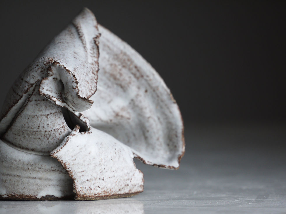 The Silent Collapse of Startups Fighting for Humanity’s Future