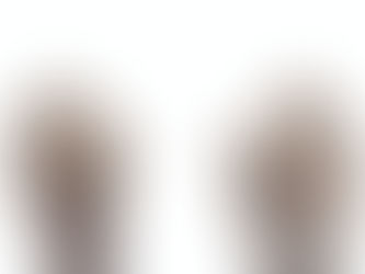 köpeklerde pati problemleri