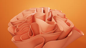 Image by Philip Oroni