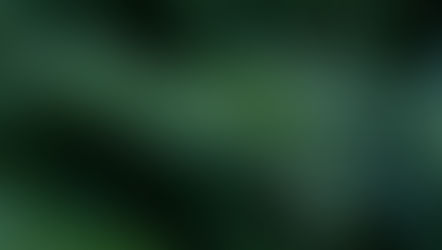 Assistant Ecologists, Kane Ecology