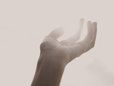 Image by Tatum Bergen
