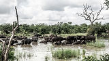 Image by Ante Hamersmit