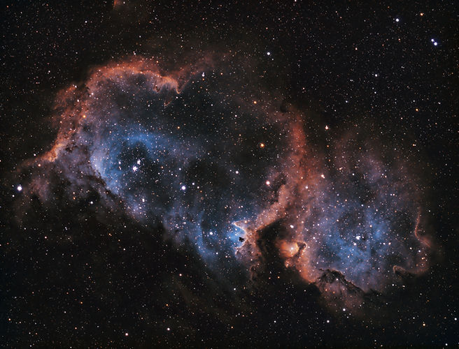 Image by Federico Beccari