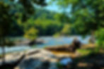 The Potomac River at Harpers Ferry