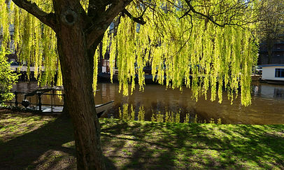 Image by Fons Heijnsbroek