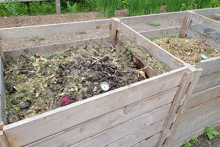 Image by Frank Thiemonge