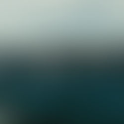 What It Means to Go Back: Americans Returning to Ancestral Homelands in Europe