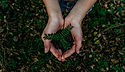TAMC ESG Commitment to Environment