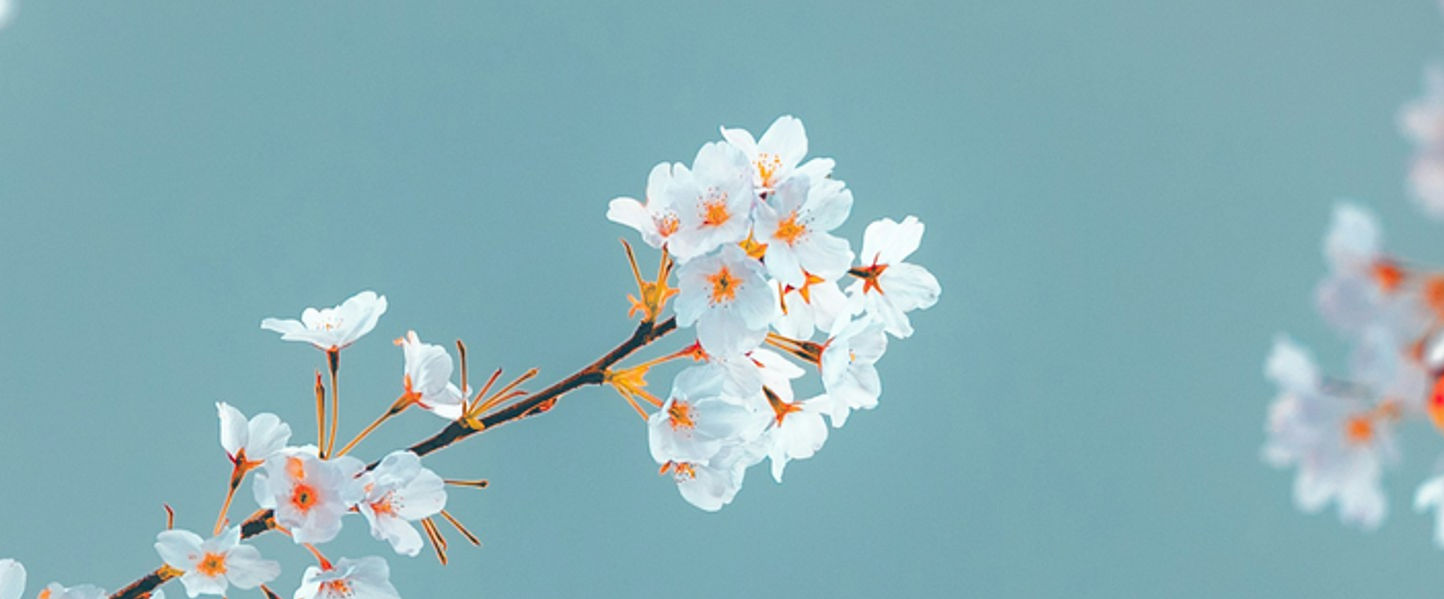 Image de Yuheng Ouyang