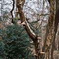 Image by Luke Galloway