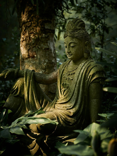 Image by MANH LAI VAN