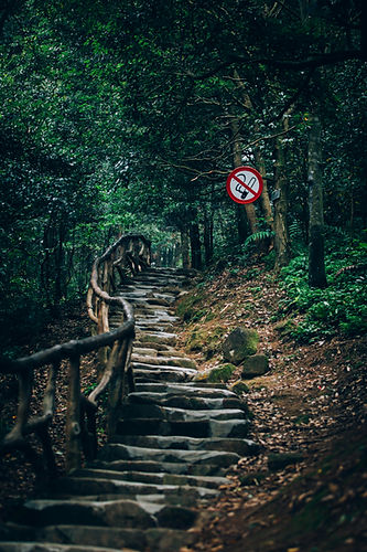 Image by Ziko liu