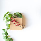 Image by Larisa Birta