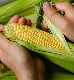 Image by Iuliia Pilipeichenko