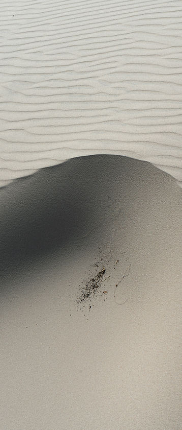 Image by Max Böhme