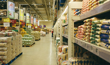 이미지 제공: Dennis Siqueira