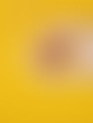 The Impact of Vitamin and Mineral Deficiencies on Mental Health