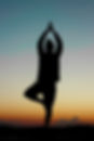 yoga and qigong classes