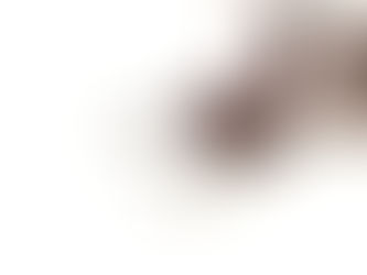 Blessed Are Those Who Believe: The Mustard Seed of Faith