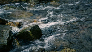 Rushing creek water swirls over mossy rocks, creating white streaks in a rugged, natural riverbed.