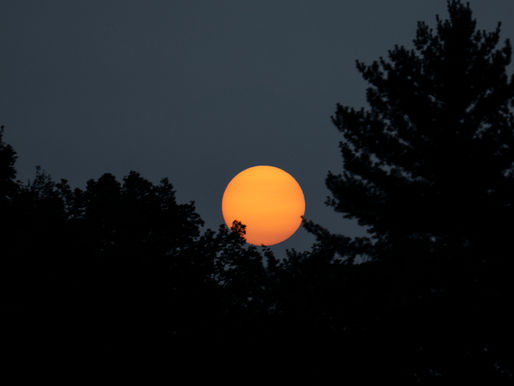 Full Moon in Cancer: Nurturing the Inner World