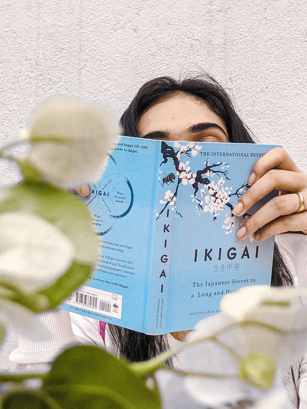 Ikigaï sens au travail impact positif