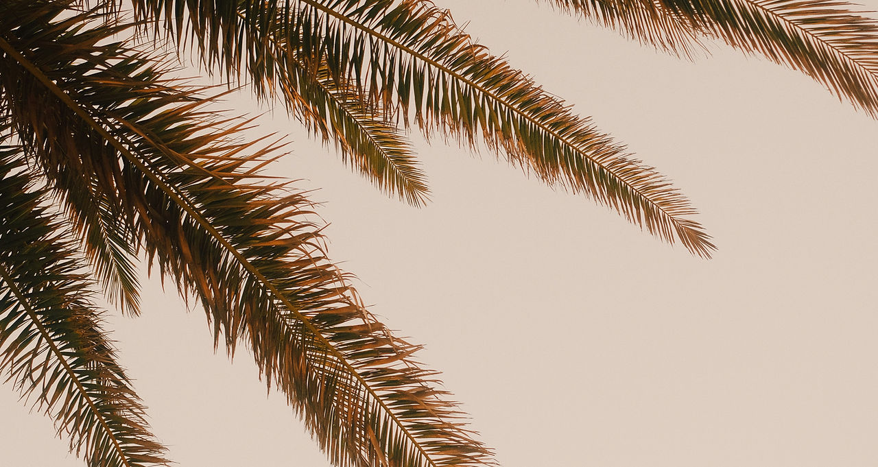 Image by Ingmar H