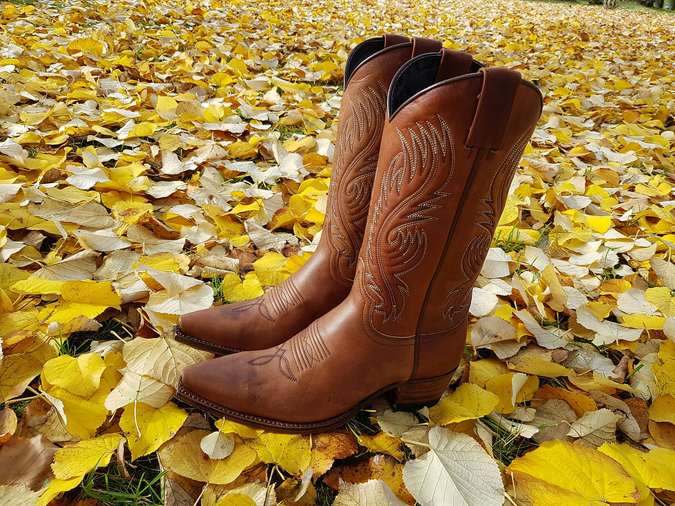 Balsamroot Boots Line Dance