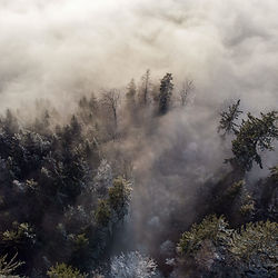 Image by Thimo Pedersen