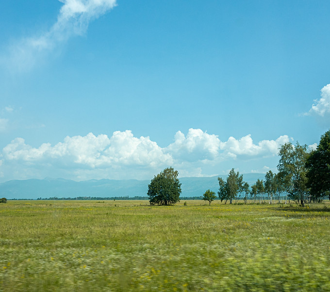 Image by Ilse