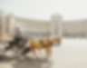 Image by Sandro Gonzalez