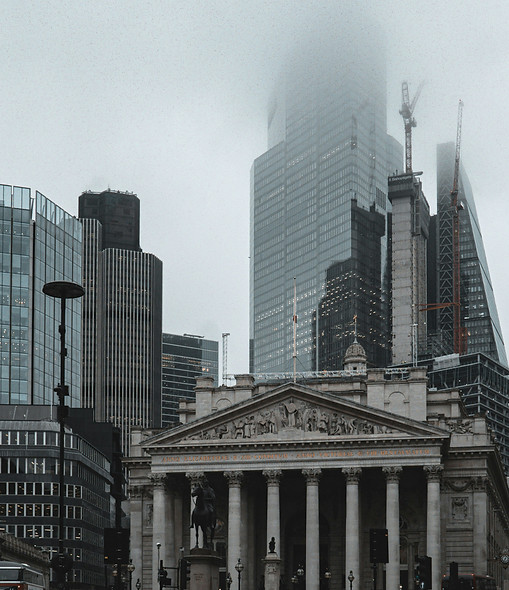 Image by Xiaolin Zhang