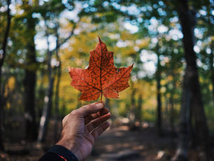 Celebrate iconic Canadian dishes from coast to coast.