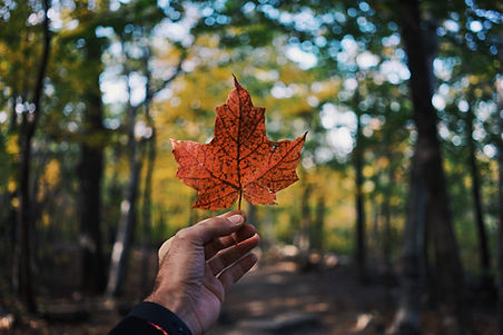 Vivir en Canadá