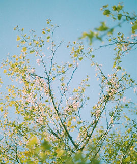 Image by Fatih Berat Örer