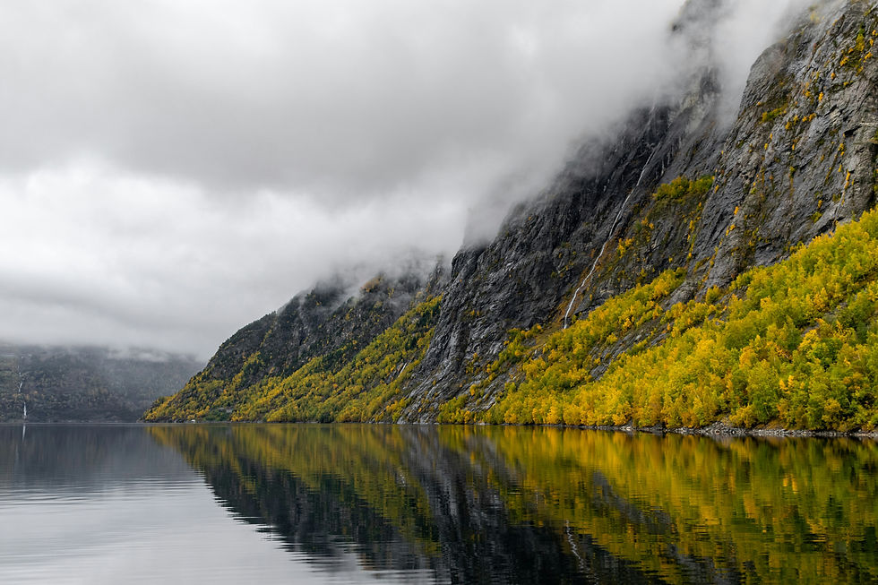 Discover the Serenity of the Norwegian Fjords: Embark on an Epic Solo Travel Cruise Adventure