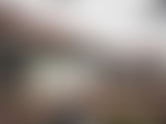 shingle, shingle roofing, shingles on roof, shingle option, roofing, roofer, roofing contractor, craig gouker roofing