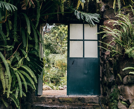 Image by Thimo van Leeuwen