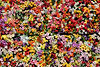 Image by Julien Chatelain