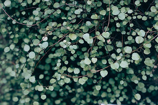 Image by Vadim L