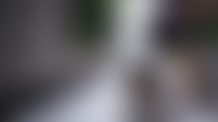 Invités: Comment gérer mon chien en leur présence?