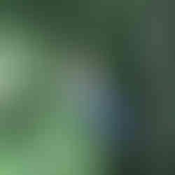 Woman zip lining in Costa Rica