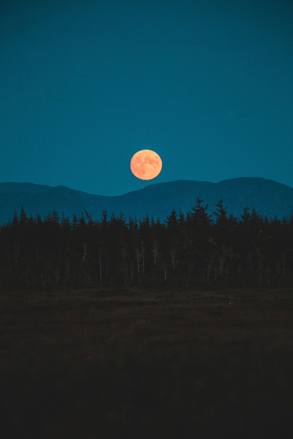 Toronto In-Person Full Moon Meditation