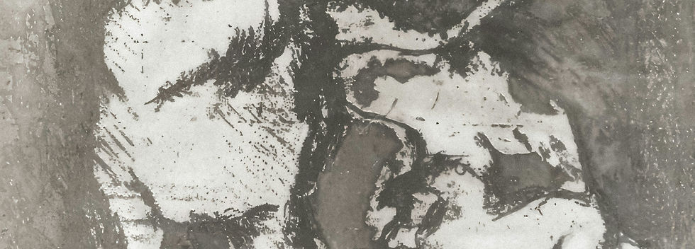 Image by Wiki Sinaloa