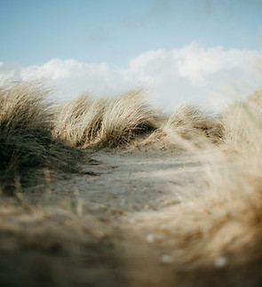 Image by Annie Spratt