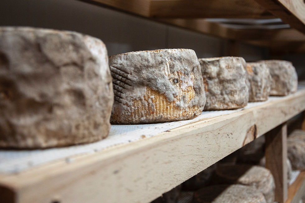 Thumbnail: Aged Goat Cheese 