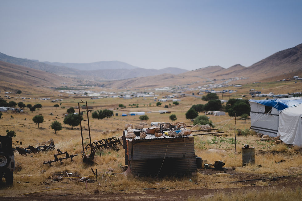 Image by Levi Meir Clancy