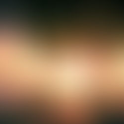 יוֹסֵף סֵגָל \ לנוח